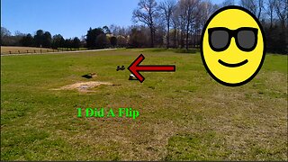 RC Dragon In A Field Part 2