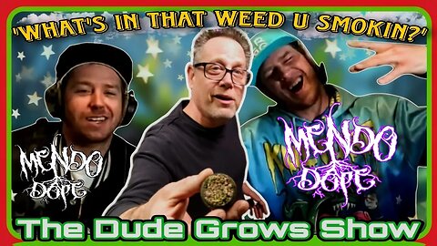 Cannabis Growers Mendo Dope: Rap Game & 20ft Tall Plants - The Dude Grows Show 1,469