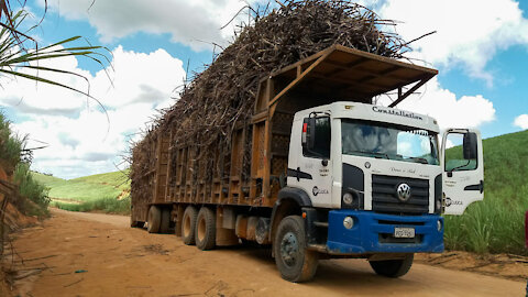 truck loaded with sugar cane, Brazil.