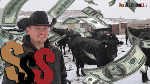 The Cost of Ranching