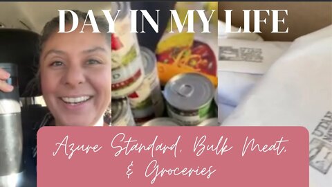 Day in the Life - Groceries, Azure, & Bulk Meat
