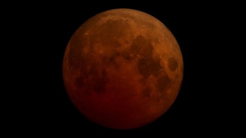 Lunar Eclipse 8 November 2022 #shorts #lunareclipse #lunareclipse2022 #皆既月食