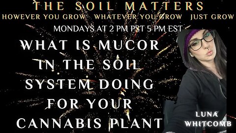 What Is Mucor In The Soil System Doing For Your Cannabis Plant