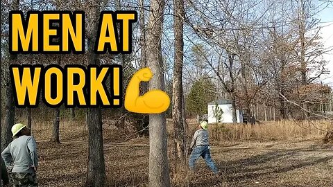 Men at Work! (and me too!) - Ann's Tiny Life and Homestead.