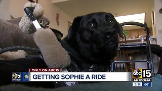 Valley woman says service dog refused transportation