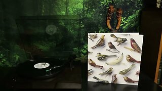 Kishi Bashi - Omoiyari (2019) Full Album Vinyl Rip