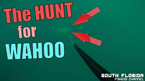 The Hunt for Wahoo continues | Spearfishing Florida Keys