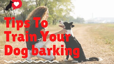 Tips To Train Your Dog Barking | How to Train Dog Barking 2021 | Training Puppy to Bark