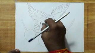 how to draw a pigeon and rose flowers with pencil sketch