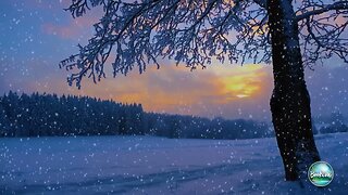 Sky soothing music accompanied by a gentle winter picture and snow1 hour@bookiva8508 @musicrelax2576