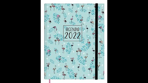 Best Journal & Diaries 2022 #shorts