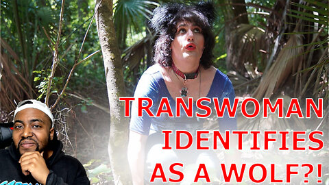 Jesse Watters Tries To Keep It Together In Interview With Trans Woman Who Identifies As A Wolf