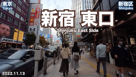 【Tokyo】Walking on Shinjuku East Side (2022.11.13)