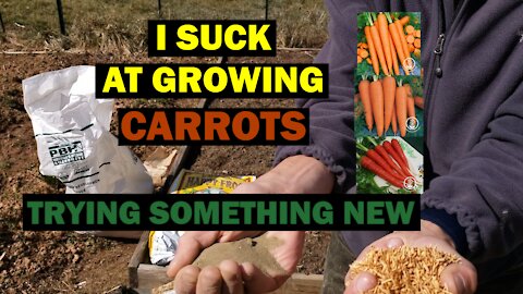 I Suck at Growing Carrots | Here is What I'm Doing Differently This Spring to Reduce FAILURE