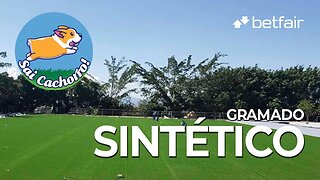 Gramado Sintético