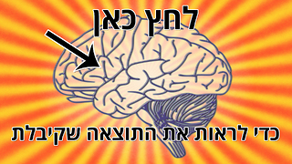 בחן את עצמך: עד כמה המוח שלך יעיל בעיבוד מידע? מוח פילוסופי