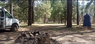 Dog walk, Coconino National Forest. Willard springs road, Arizona