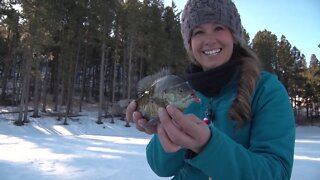 Ice Trout on Pactola Lake