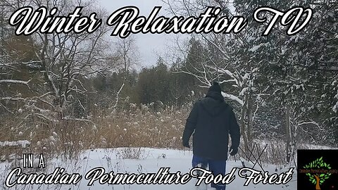 Winter Relaxation in a Canadian Permaculture Food Forest