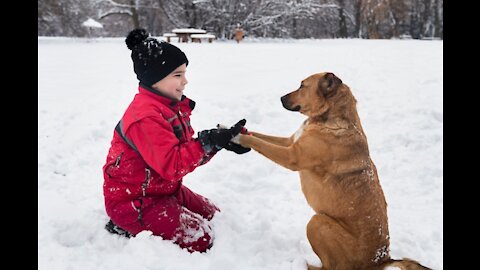 Child playing with dog in the snow