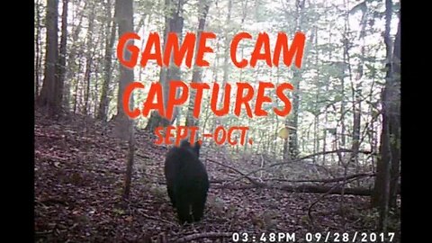 Game Cam Captures | Sept-Oct 2017