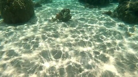 Dana Snorkeling in Moorea, 27-Sep-2022-1