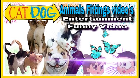 Funny Entertainment Animals Video// Dancing Cat -Dog video 🐱