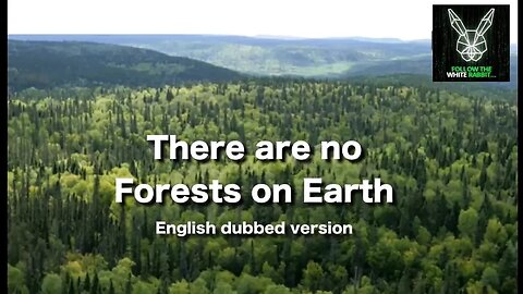 There Are No Forests on Planet Earth (Original Documentary)