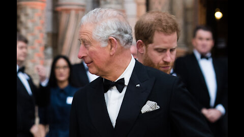 Prince Charles announces half-term challenges to get school kids interested in nature