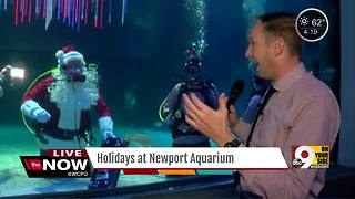 Scuba Santa returns to Newport Aquarium, but who's on the 'nice' list?