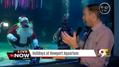 Scuba Santa returns to Newport Aquarium, but who's on the 'nice' list?