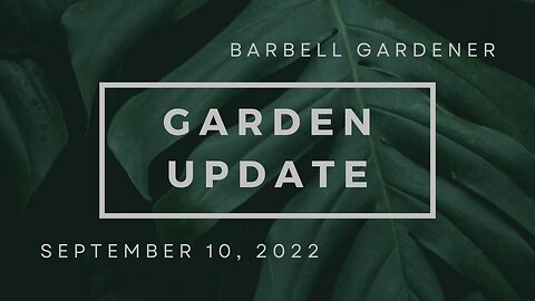 Sept 10, 2022 garden update