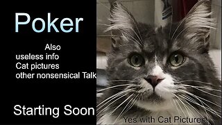 Poker 680 place win $5.06 - nonsensical Talk - cat pictures and Watercolor Paintings