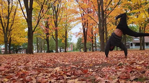 Capoeira in the Leaves Part 1