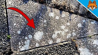 Remove Lichen from Paving Stones 💥 (EASIER it is NOT possible) 🤯