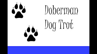 Doberman Dog Trot Cycle