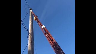 Firefighters help encourage kitty cat down pole