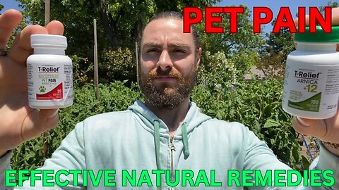 PAIN IN DOGS & CATS: EFFECTIVE NATURAL REMEDIES FOR LESS THAN $20