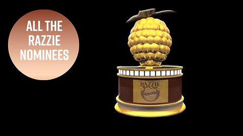 The 2018 Razzies: What you need to know