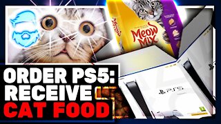 Amazon Sending Cat Food Instead Of Playstation 5 Consoles! New PS5 Stock For Black Friday?