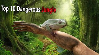 दुनिया के 10 सबसे खतरनाक जंगल 🤯! 10 most dangerous forests in the world #shorts #facts