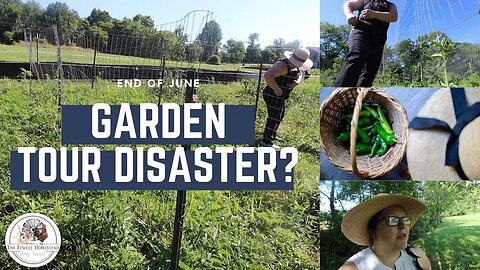 JUNE GARDEN TOUR | I Haven't Been to the Garden in Over TWO WEEKS!