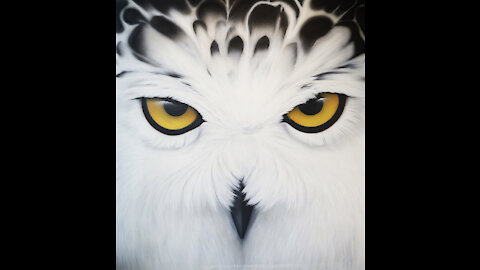 SNOW OWL