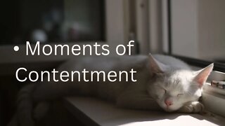 • Moments of Contentment Message from Ann & the Angels - 12/10/2022