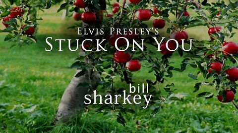 Stuck On You - Elvis Presley (cover-live by Bill Sharkey)