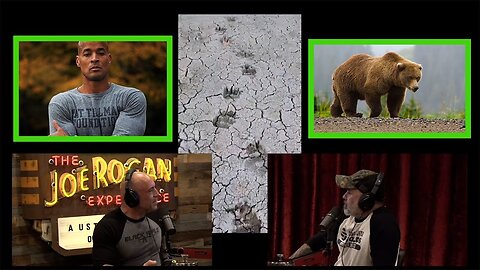 David Goggins Spotted Grizzly Bear Tracks While Smokejumping