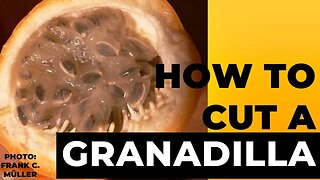 How To Cut A Granadilla or Passion Fruit