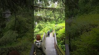 Walking Through an Alaskan Rain Forest!