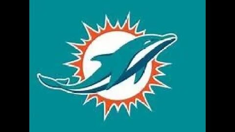 Daniella Petrow Talks About Miami Dolphin Fans Being A Joke.