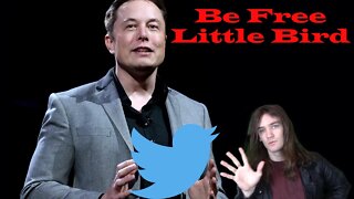 Elon Musk's "Free Speech Twitter" Faces Uphill Battle